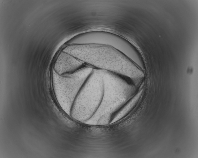 X0000088881032200707061405