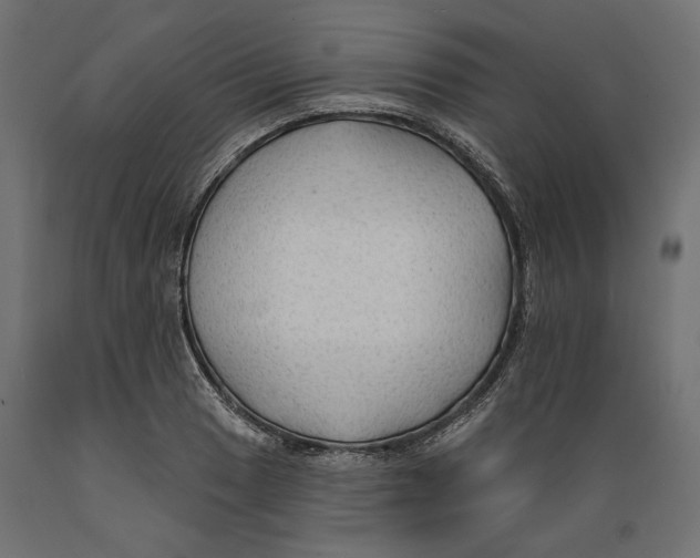 X0000088881033200707061405