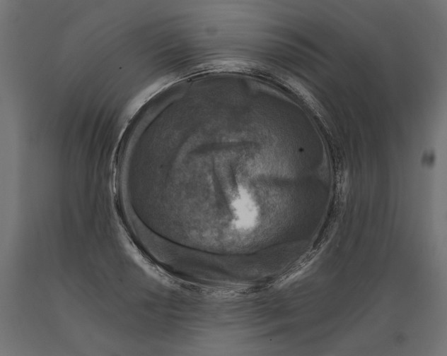 X0000088881034200707061405