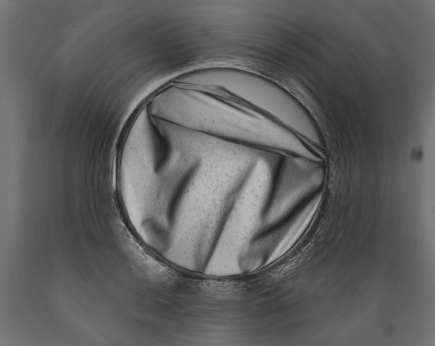 X0000088881036200707061405