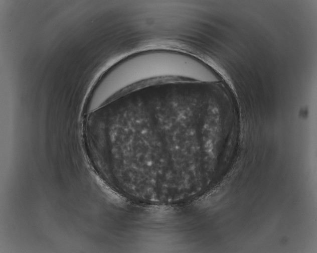 X0000088881037200707061405