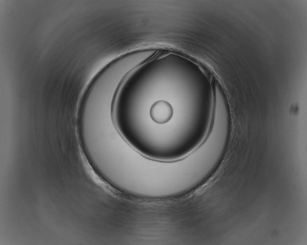X0000088881038200707061405