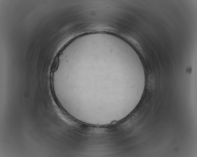X0000088881039200707061405