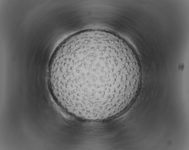 X0000088881040200707061405
