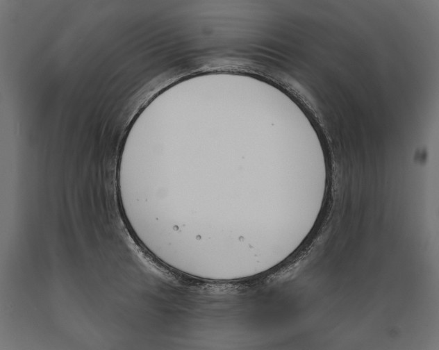 X0000088881041200707061405