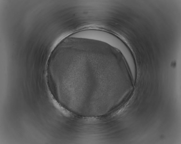 X0000088881042200707061405