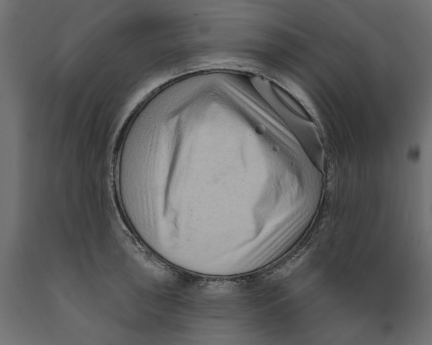 X0000088881043200707061405