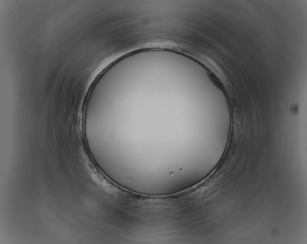 X0000088881044200707061405