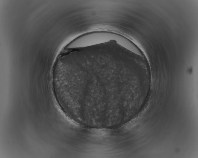 X0000088881045200707061405