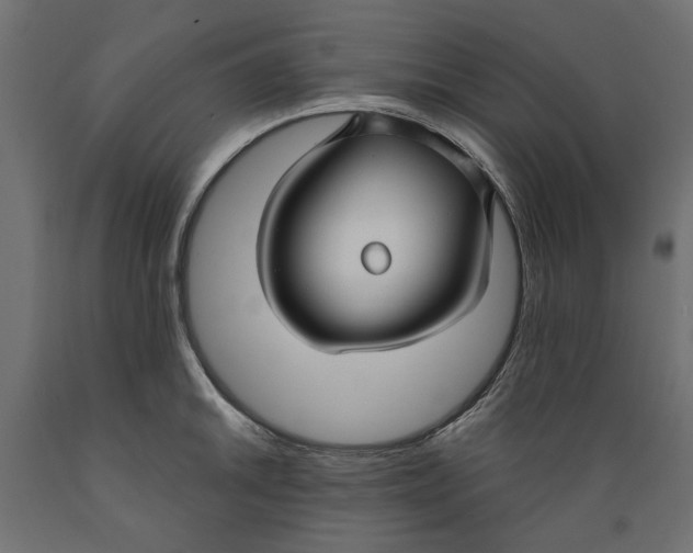 X0000088881046200707061406