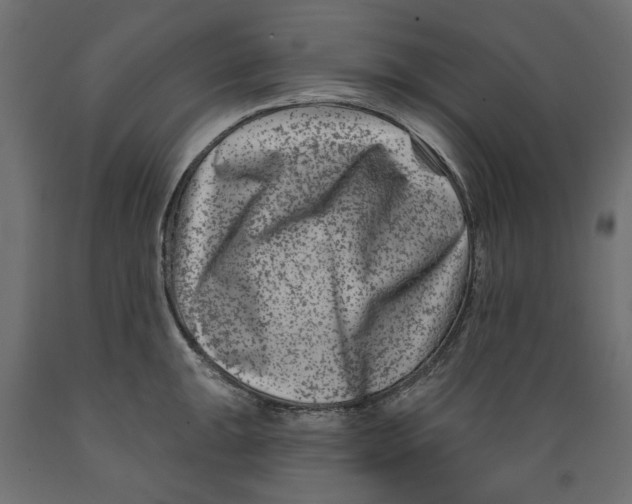 X0000088881047200707061406