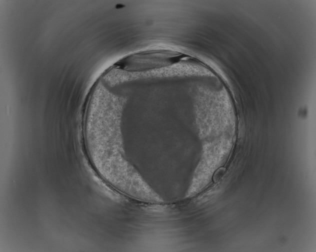 X0000088881048200707061406