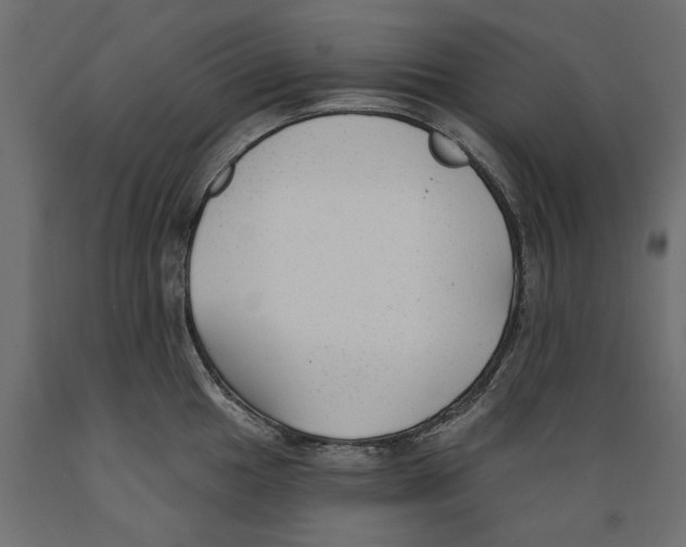 X0000088881049200707061406