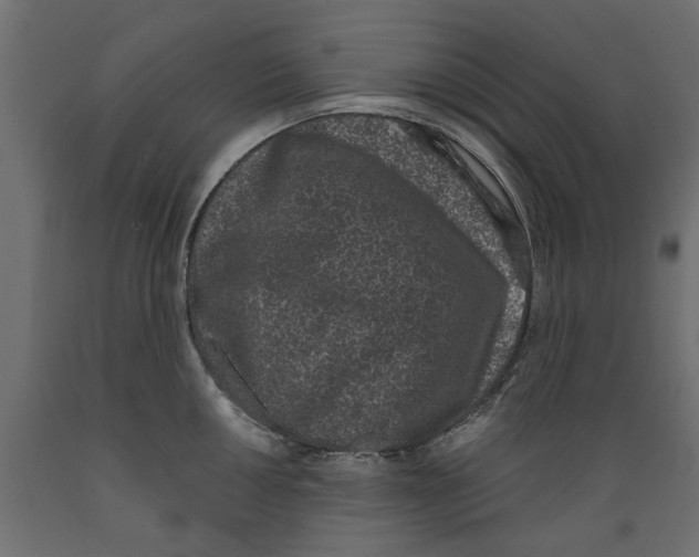 X0000088881050200707061406