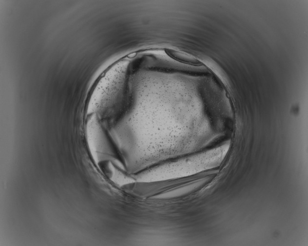 X0000088881052200707061406