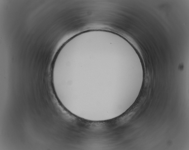 X0000088881053200707061406
