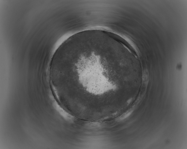 X0000088881054200707061406