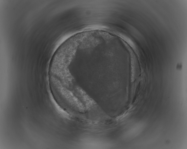 X0000088881055200707061406