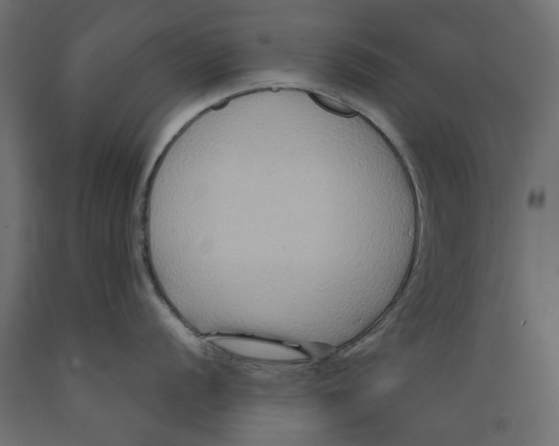 X0000088881056200707061406