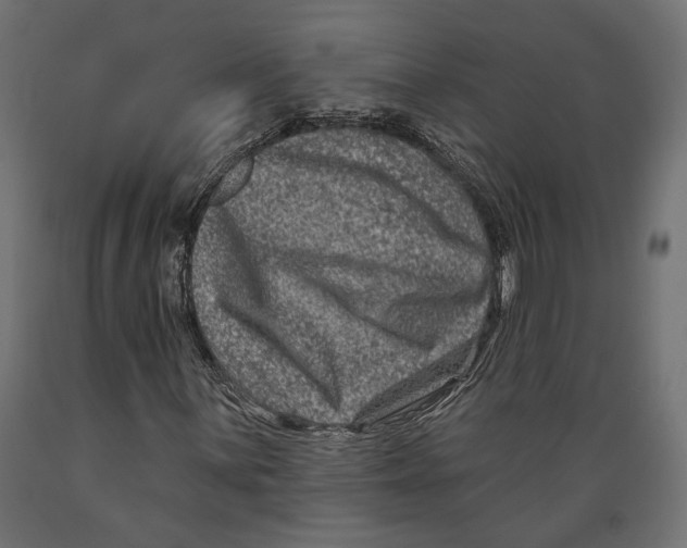 X0000088881059200707061405