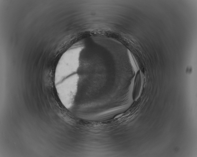 X0000088881060200707061405