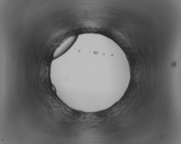 X0000088881061200707061405