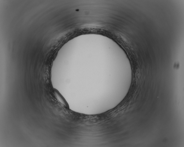 X0000088881062200707061405
