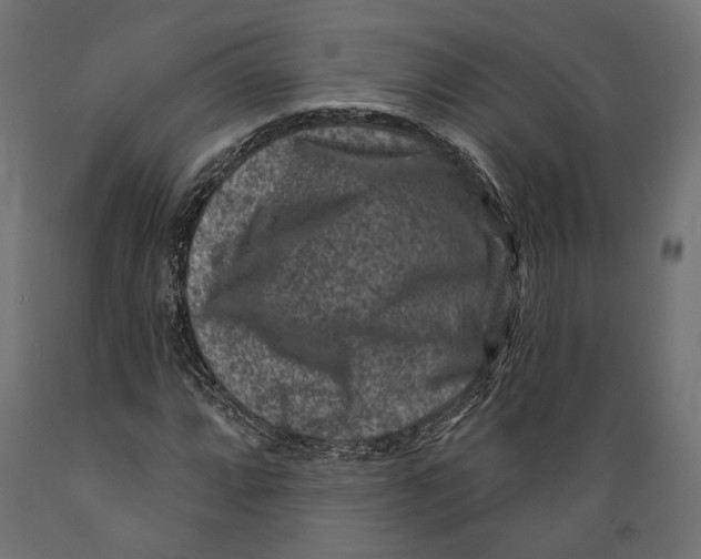 X0000088881064200707061405
