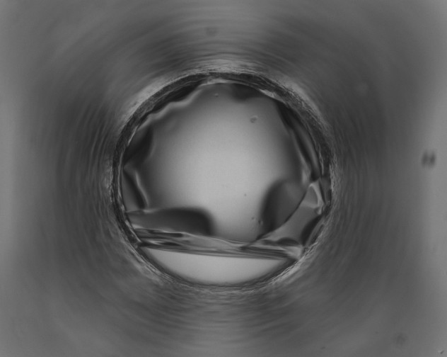 X0000088881065200707061405