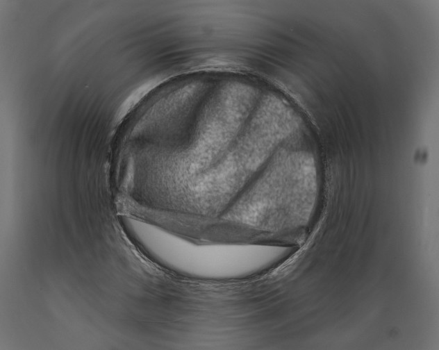X0000088881066200707061405