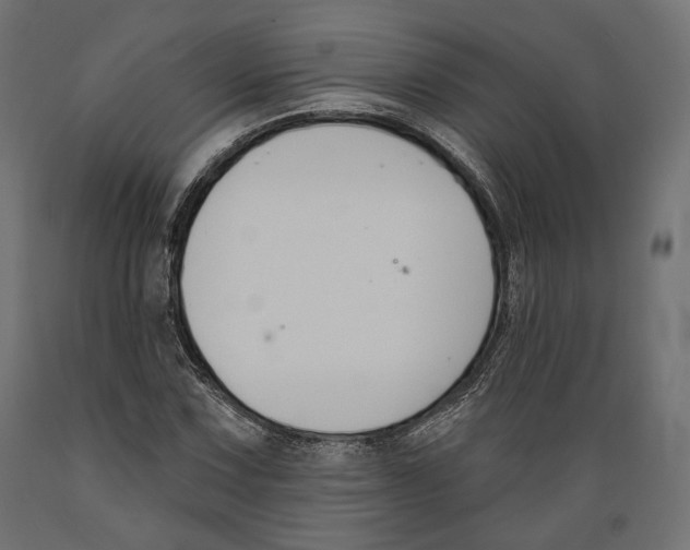X0000088881067200707061405