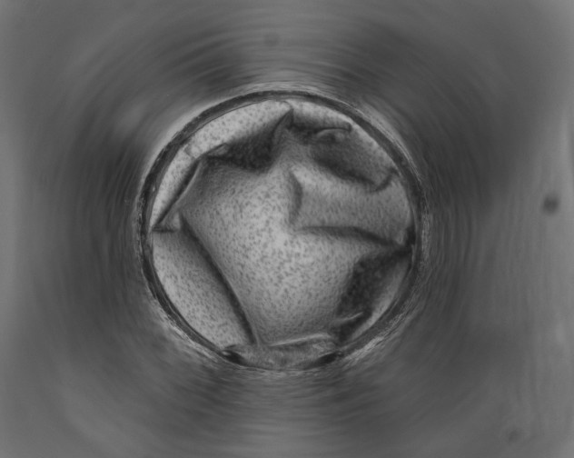 X0000088881068200707061405