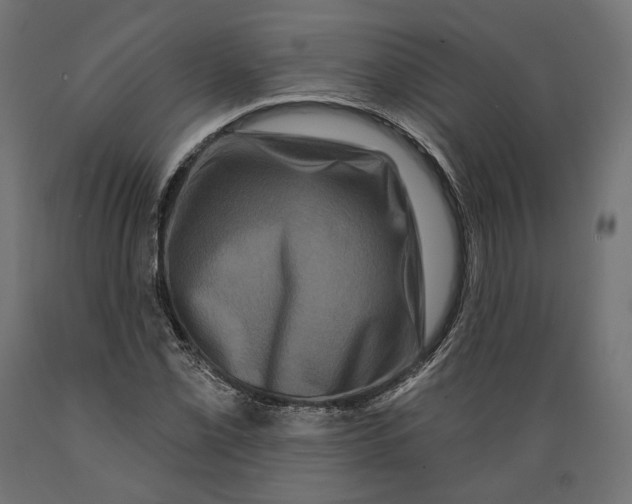 X0000088881069200707061405