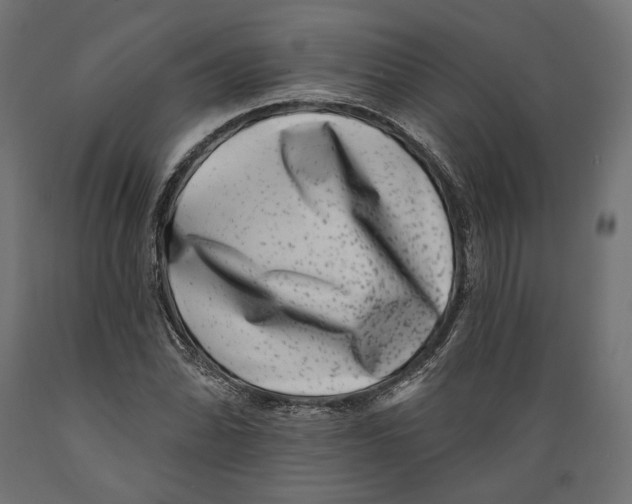 X0000088881070200707061405