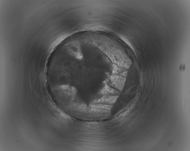 X0000088881071200707061405