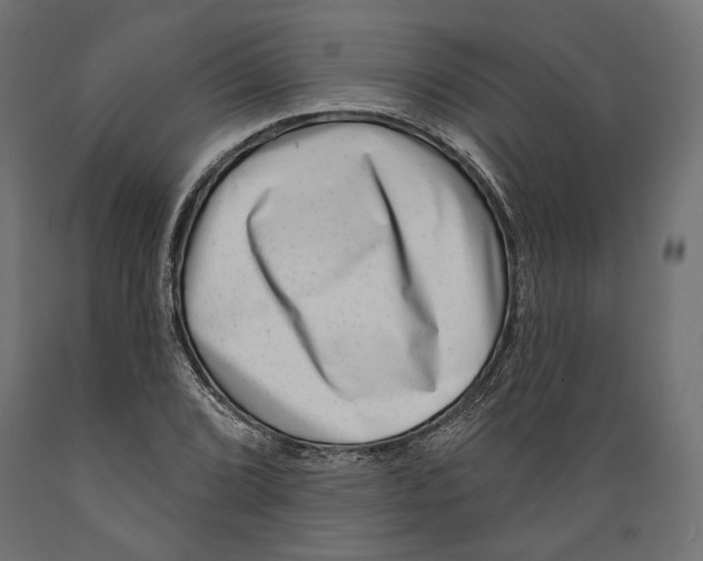 X0000088881072200707061405