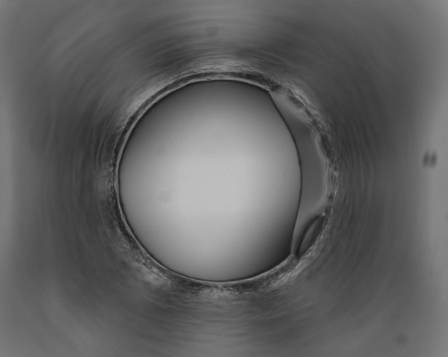 X0000088881073200707061405