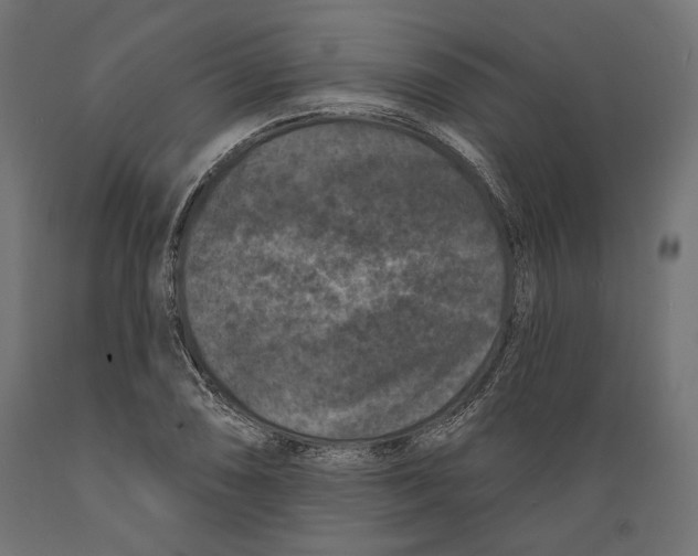 X0000088881074200707061405