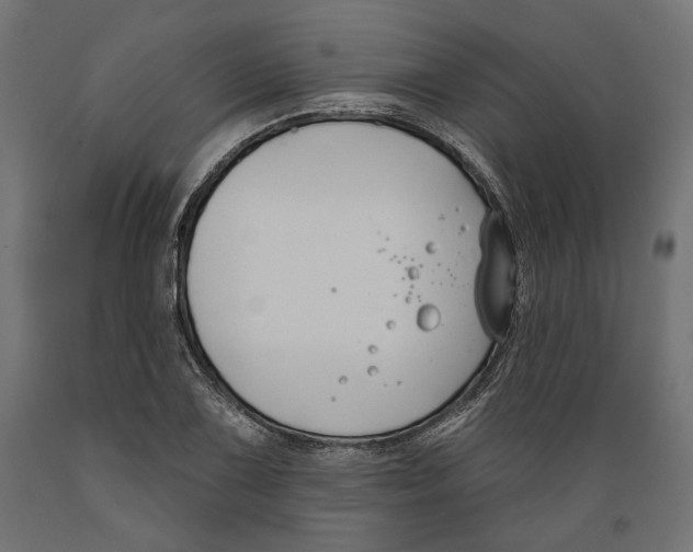 X0000088881075200707061405