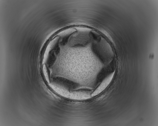 X0000088881076200707061405