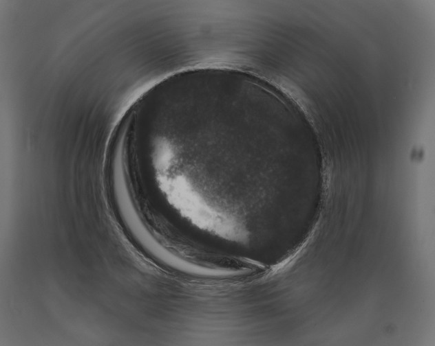 X0000088881077200707061405