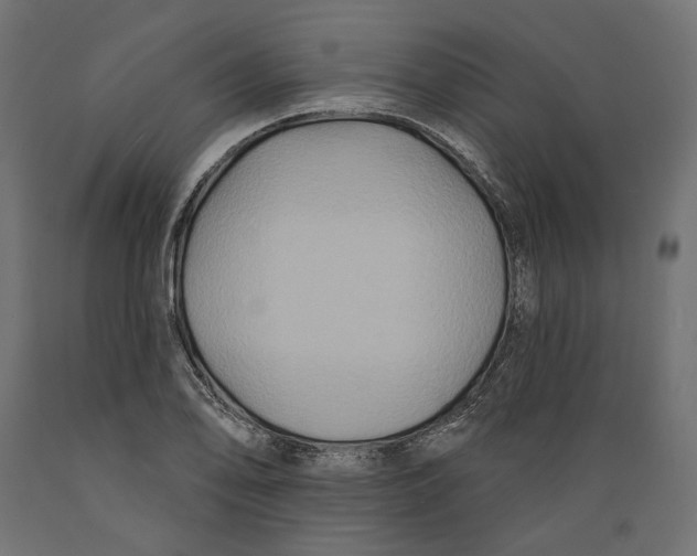 X0000088881078200707061405