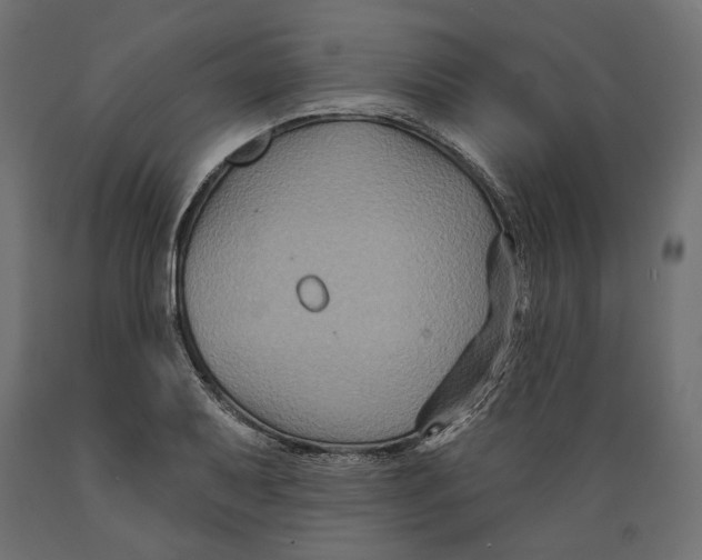 X0000088881079200707061405