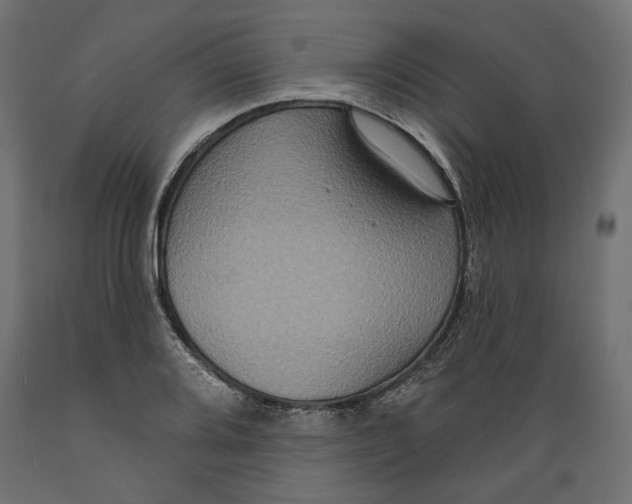 X0000088881080200707061405