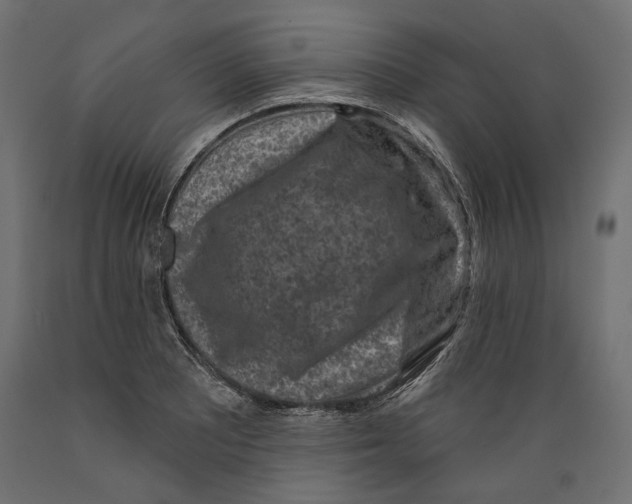 X0000088881081200707061405