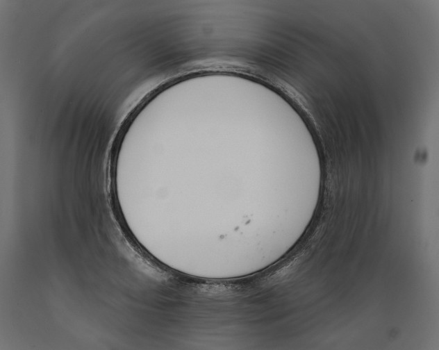 X0000088881082200707061405