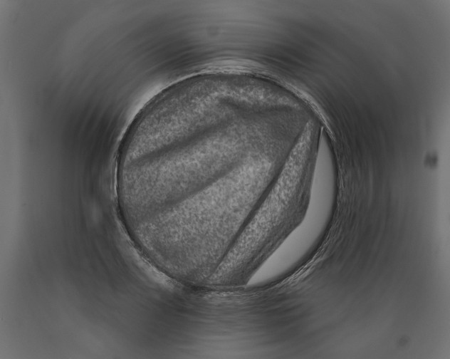 X0000088881083200707061405