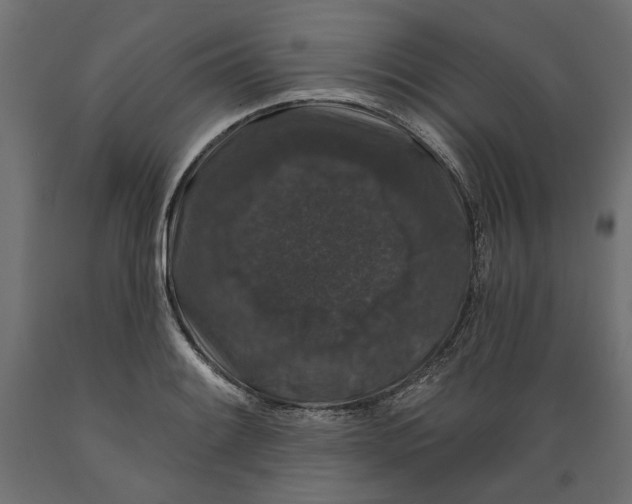 X0000088881084200707061405