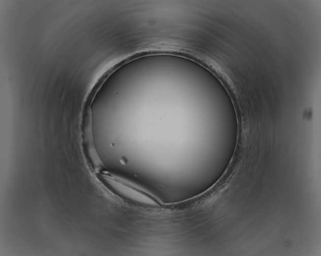 X0000088881085200707061405