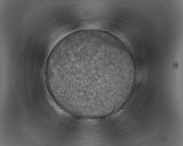 X0000088881086200707061405